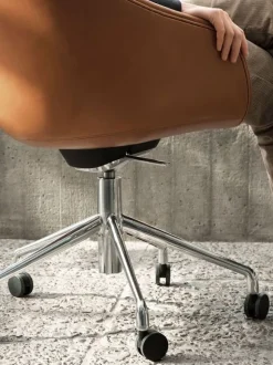 AAC 155 - Full Upholstery | New Edition