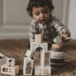 Alfie Exploration Box