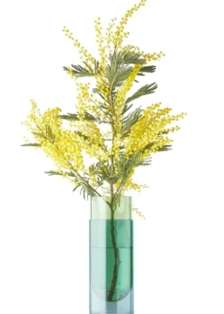 Bouquet Tube Large