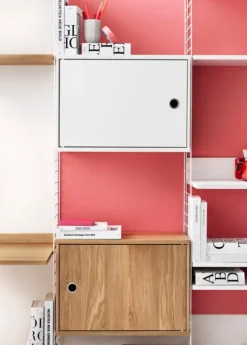 Cabinet w/ Swing Door