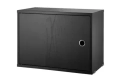Cabinet w/ Swing Door