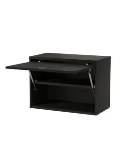 Cabinet With Flip Doors