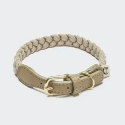 Dog Collar Blomen