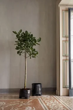 Esca Pot