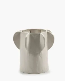 Flower Pot Molly