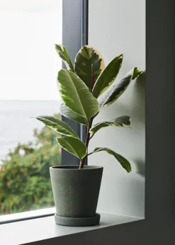 Flowerpot with saucer