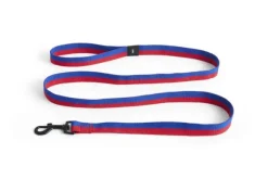 Hay Dogs Leash