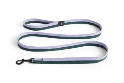 Hay Dogs Leash