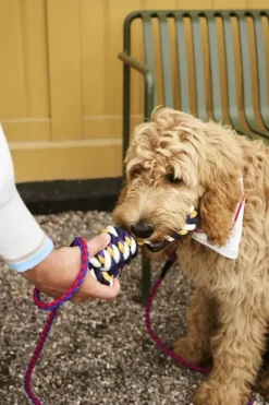 Hay Dogs Rope Toy