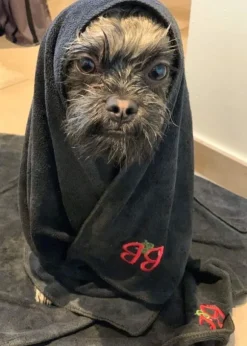 Nano Towel