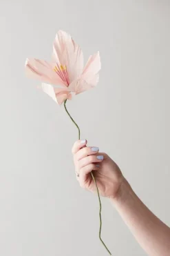 Paper Flower, Lily