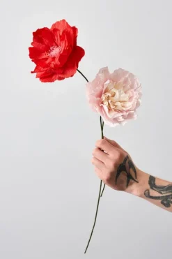 Paper Flower, Veggie Rose